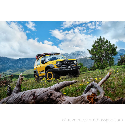 Off-Road Camper Used Car Tank 300 In China Cheap Car BYD  Most Popular